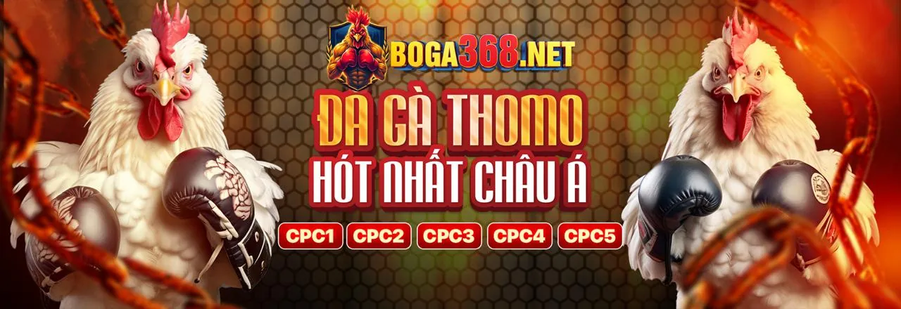 Hình ảnh minh họa cá cược có trách nhiệm tại h88 nhà cái